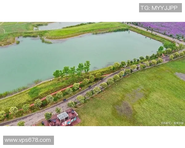 阳光、清水与绿意相融 打造理想室外泳池休闲天地